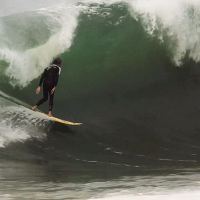 Last month was a big one for the Wedge.
