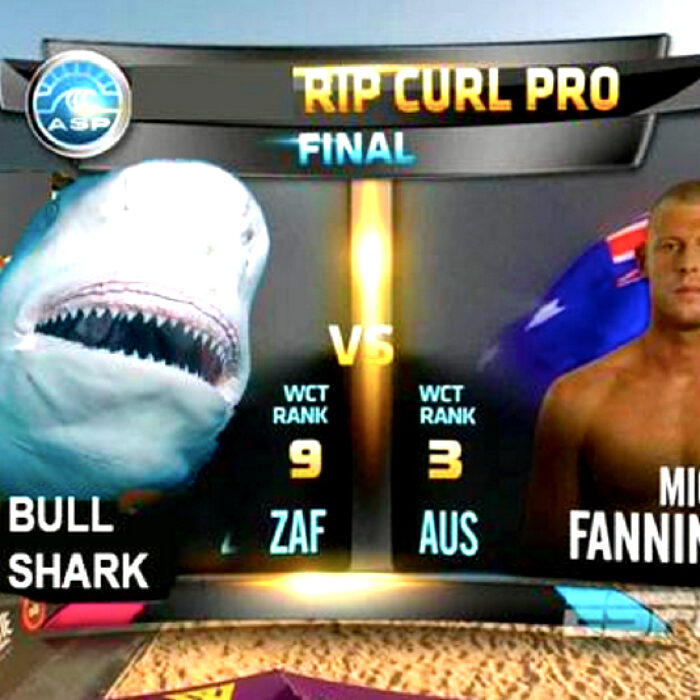 Mick Fanning, Memes, Surfing, JBayOpen, WSL, Shark, Great White, South Africa