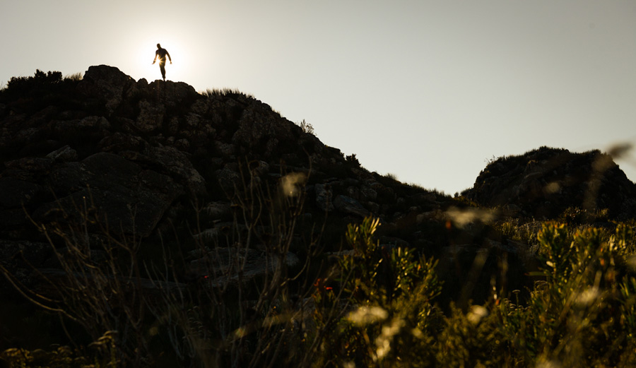 Of Leashes and Laces Discover the Heartbeat of Nature The Inertia