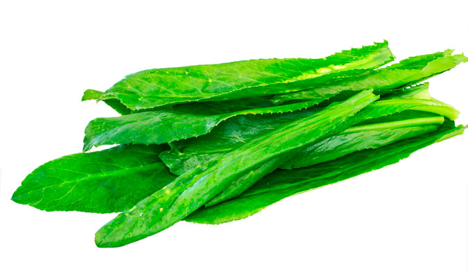 There's no I in culantro. Photo: Shutterstock