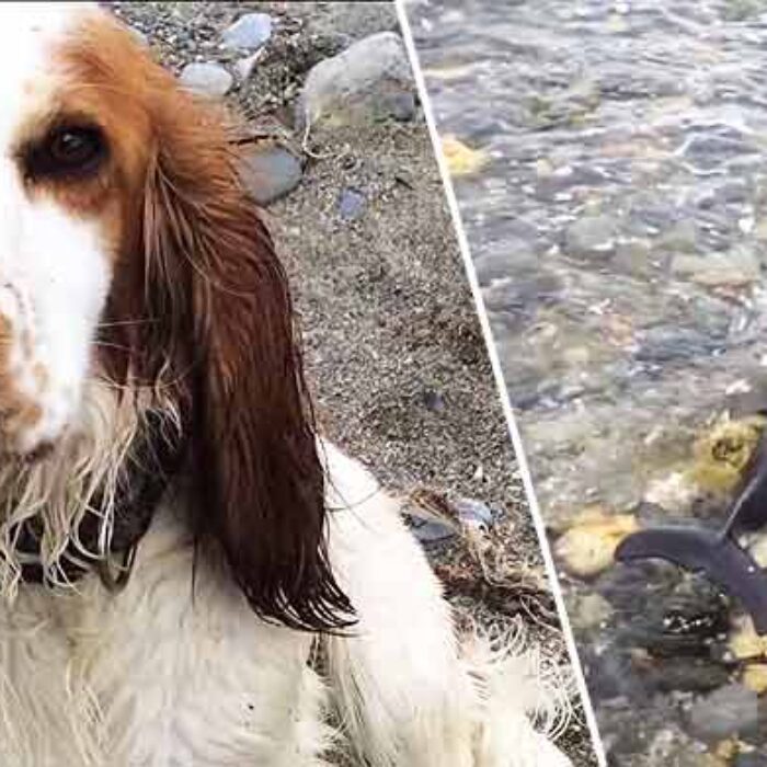 "This little guy was lucky, as there was nobody around for miles!"