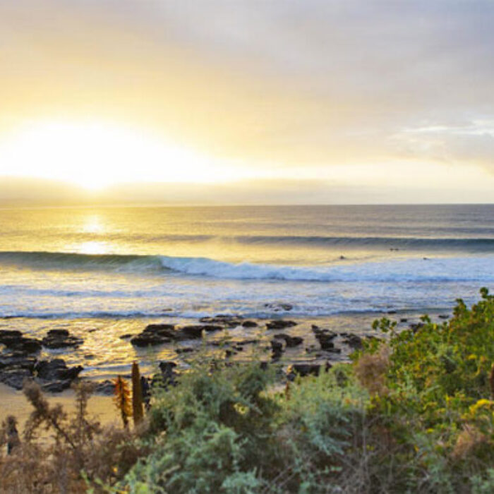 2015 J-Bay Pro Open
