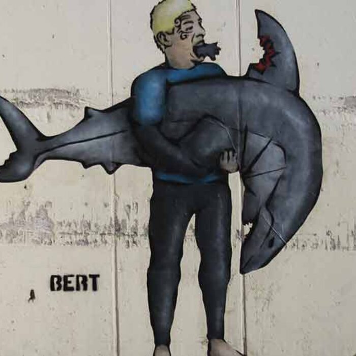 "Fin Bitin' Mick Tyson" is installed in Cardiff, CA in response to Mick Fanning's shark beat down at South Africa.