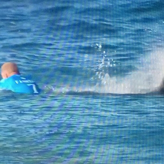 Mick Fanning Shark J-Bay