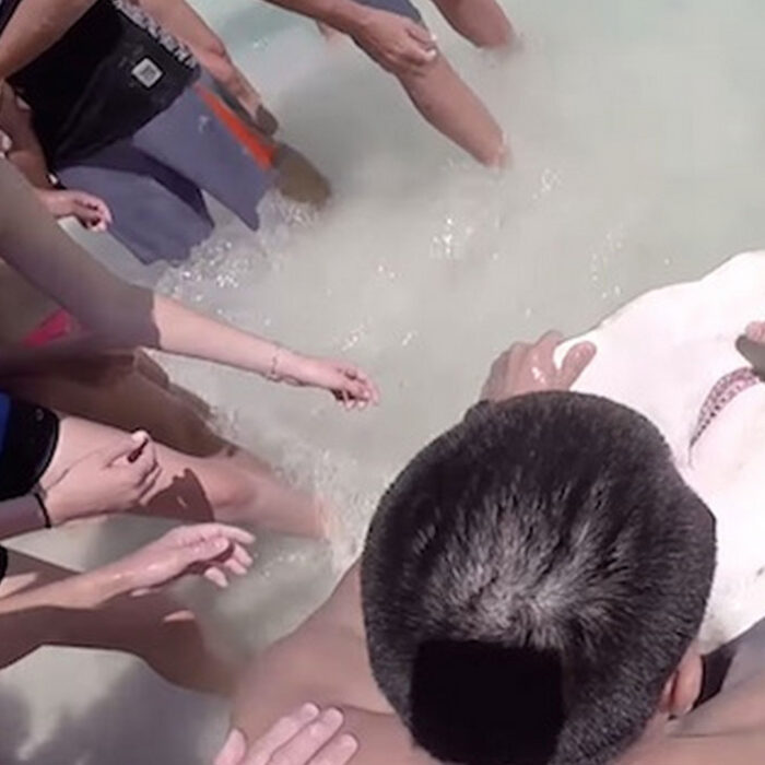 Brothers Save Hammerhead Shark Destin, FL 2015