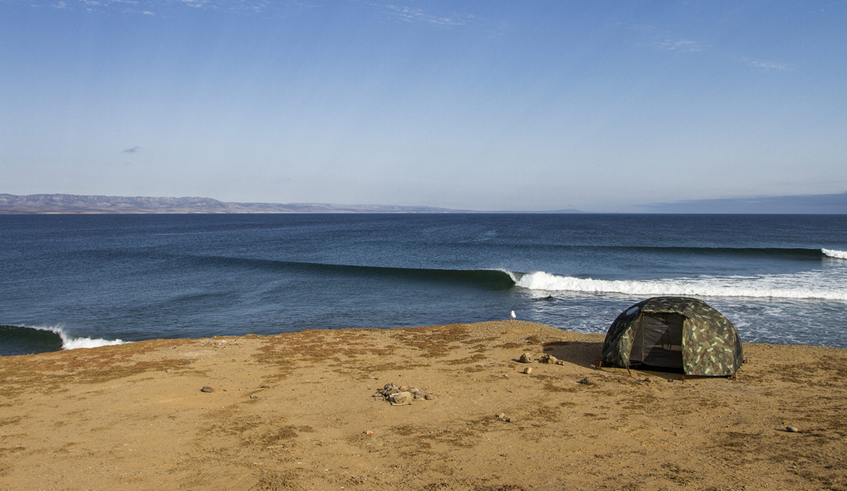 #My5Lineups: Mark McInnes
