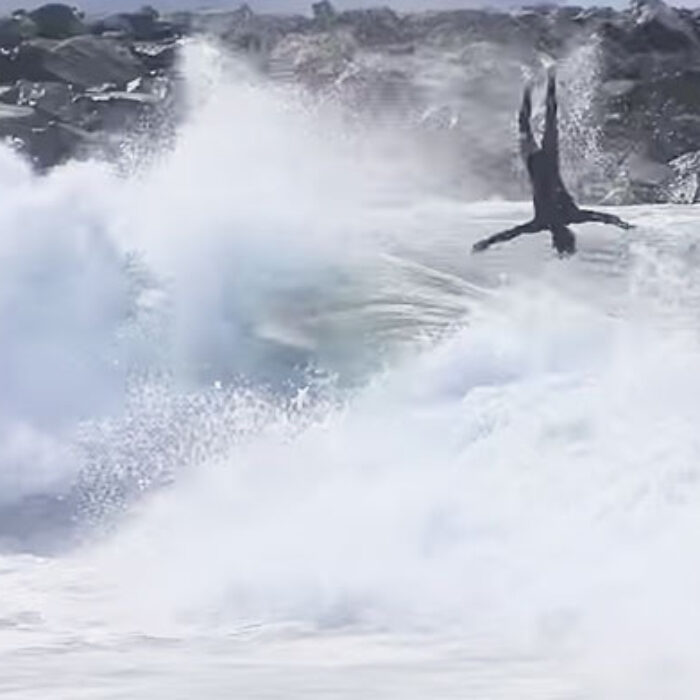If you're a certain kind of person, there's nothing better than a good wipeout or a good knockout. And while this is really only one of the two, it's still a pretty damn good mashup.
