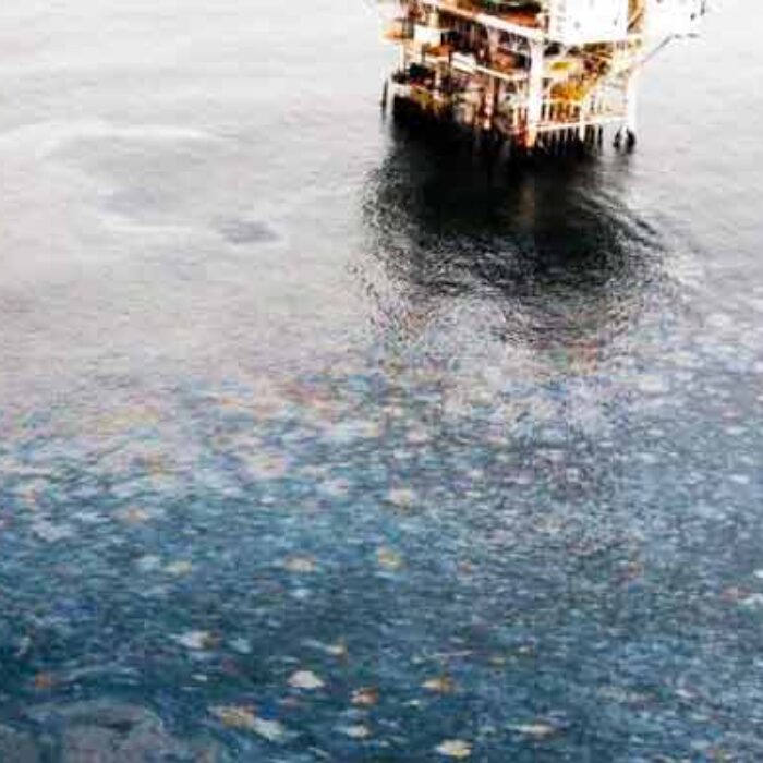 Federal officials said that it could very well be from the oil spill two months ago.