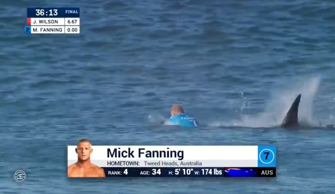 Mick Fanning Shark Attack Jeffreys Bay