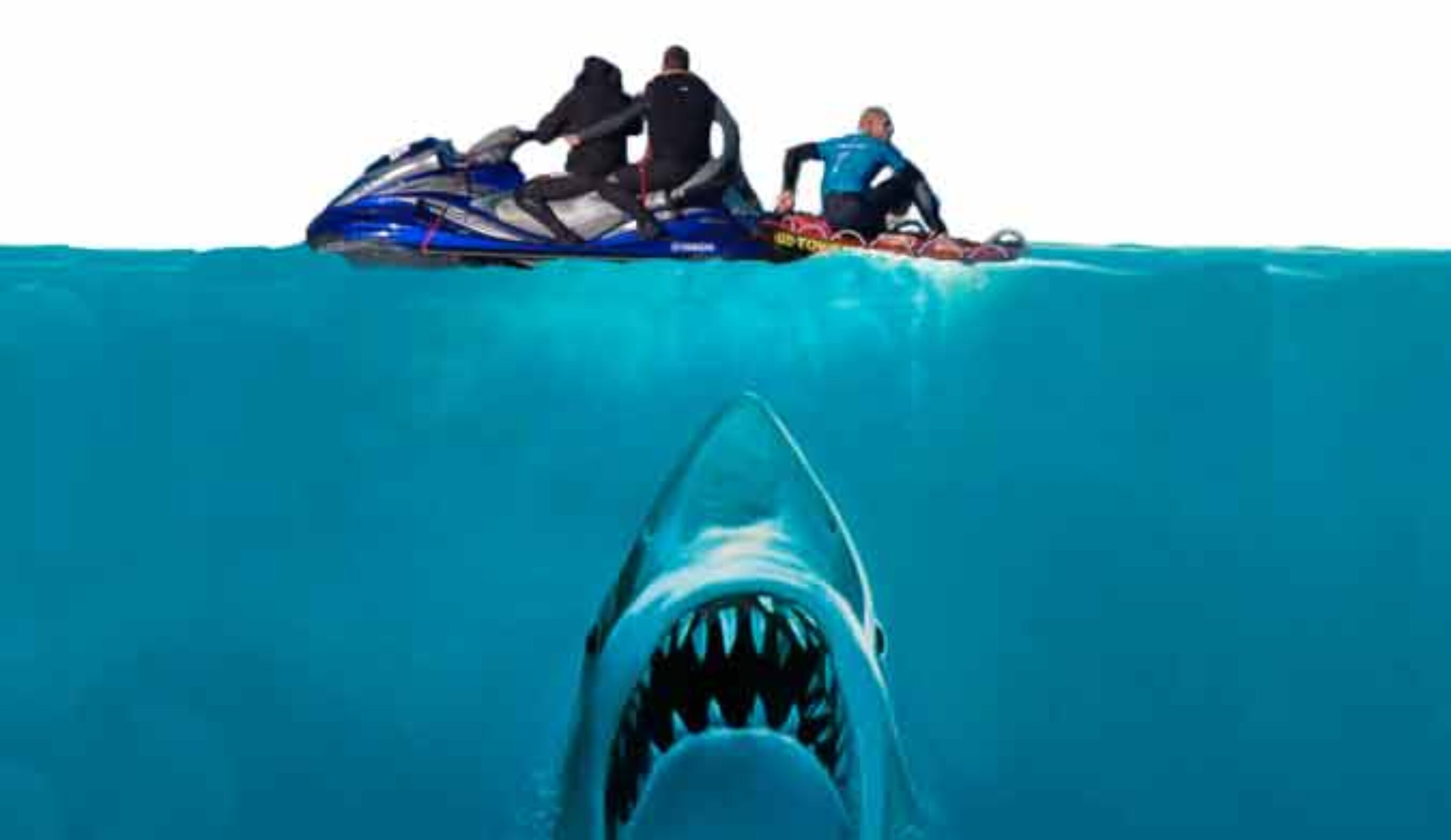 "For all I know, it came rushing up from the briny depths with murder in its soulless, black eyes. It wanted to eat Mick Fanning in one massive bite, then spray his blood all over Julian Wilson and laugh maniacally in the face of the crowd. More likely, I think, is that it just wanted to see what the hell was floating around up there, then got caught up in Mick's leash."