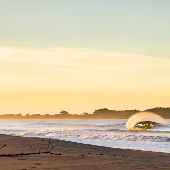 The early morning reward. Photo: Callum Morse/Saltshots Photography