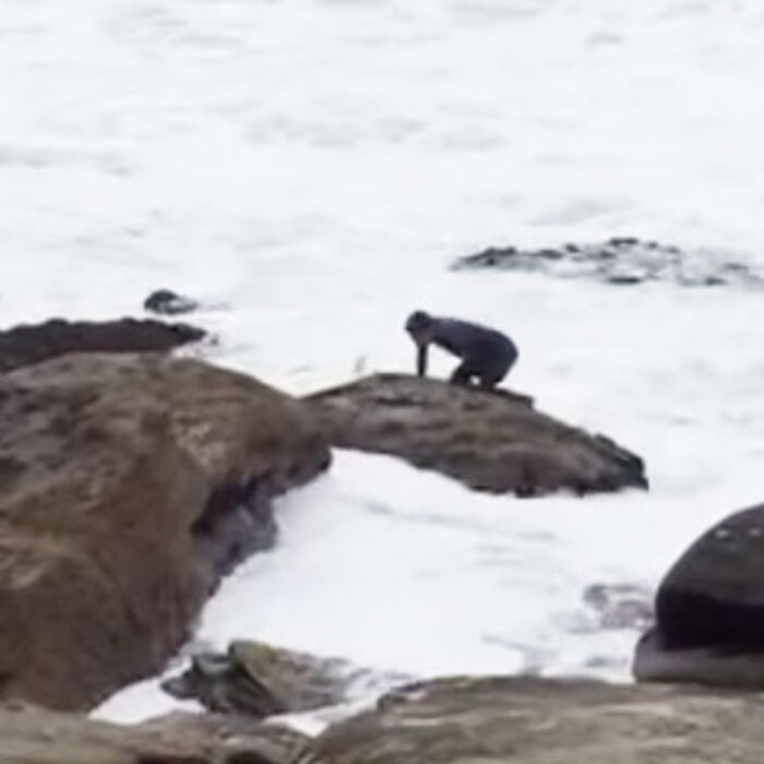 Aaaah, the ocean. Will you ever cease to entertain?