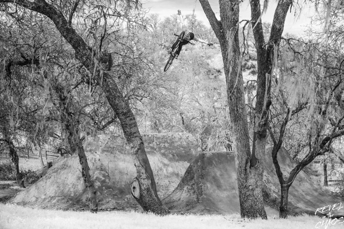 Photo: Rupert Walker