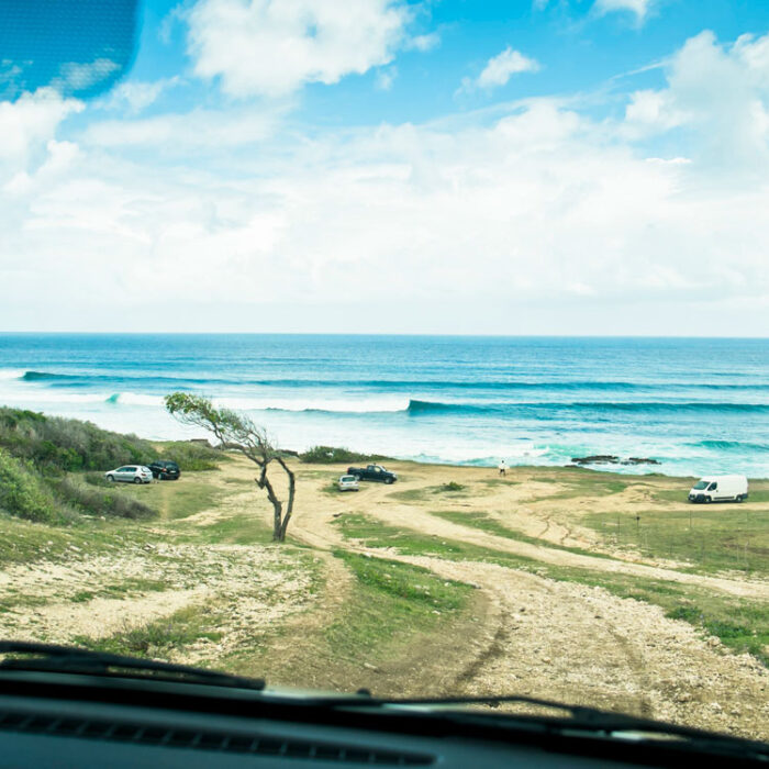 Butterfly Island Surf
