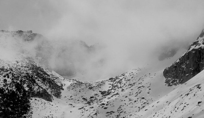 Photo: Phoebe Leila Barghouty