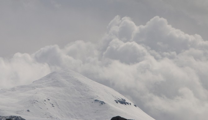 Photo: Phoebe Leila Barghouty