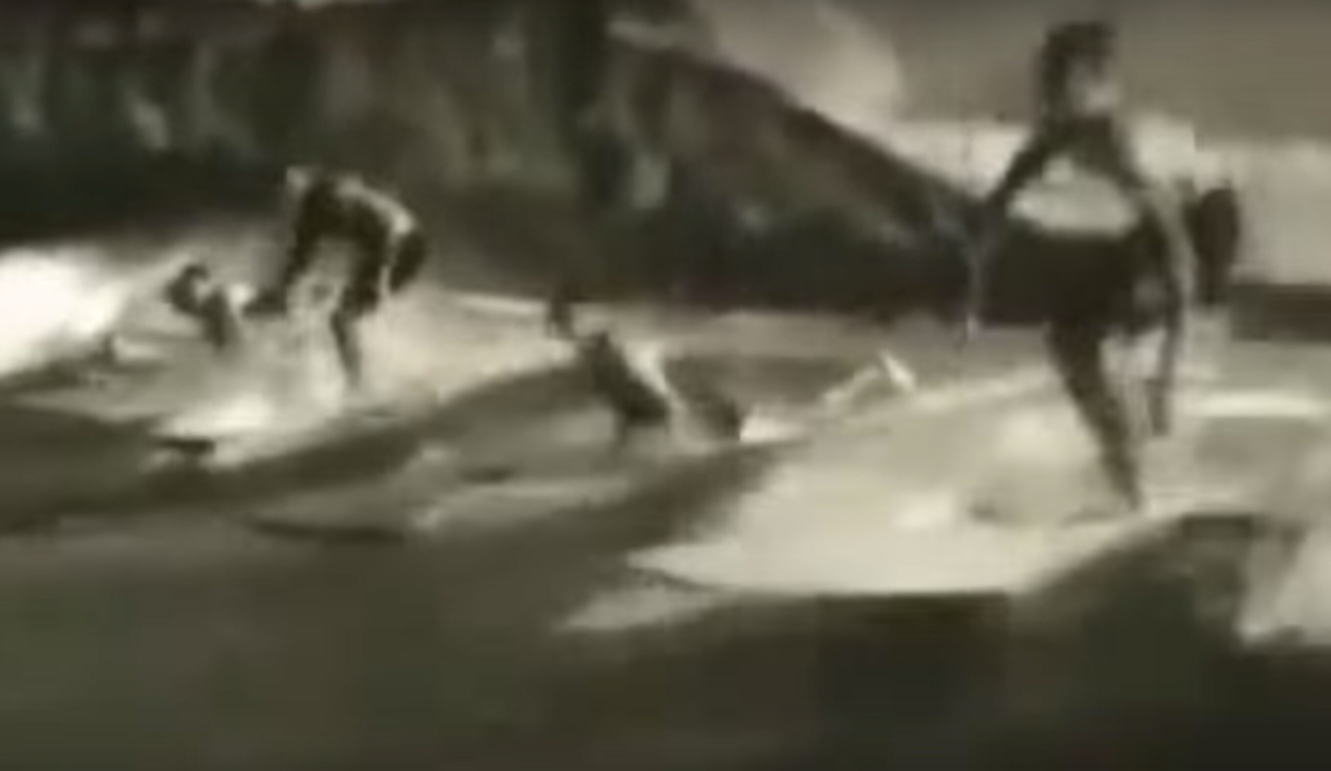 Surf-1