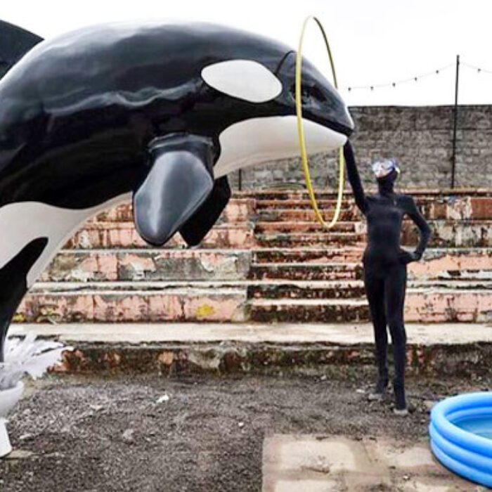 From the toilet to the kiddie pool. Banksy's latest installment looks at animals in captivity.