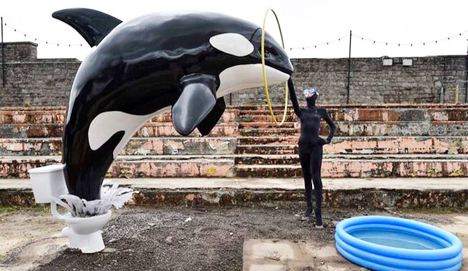 From the toilet to the kiddie pool. Banksy's latest installment looks at animals in captivity.