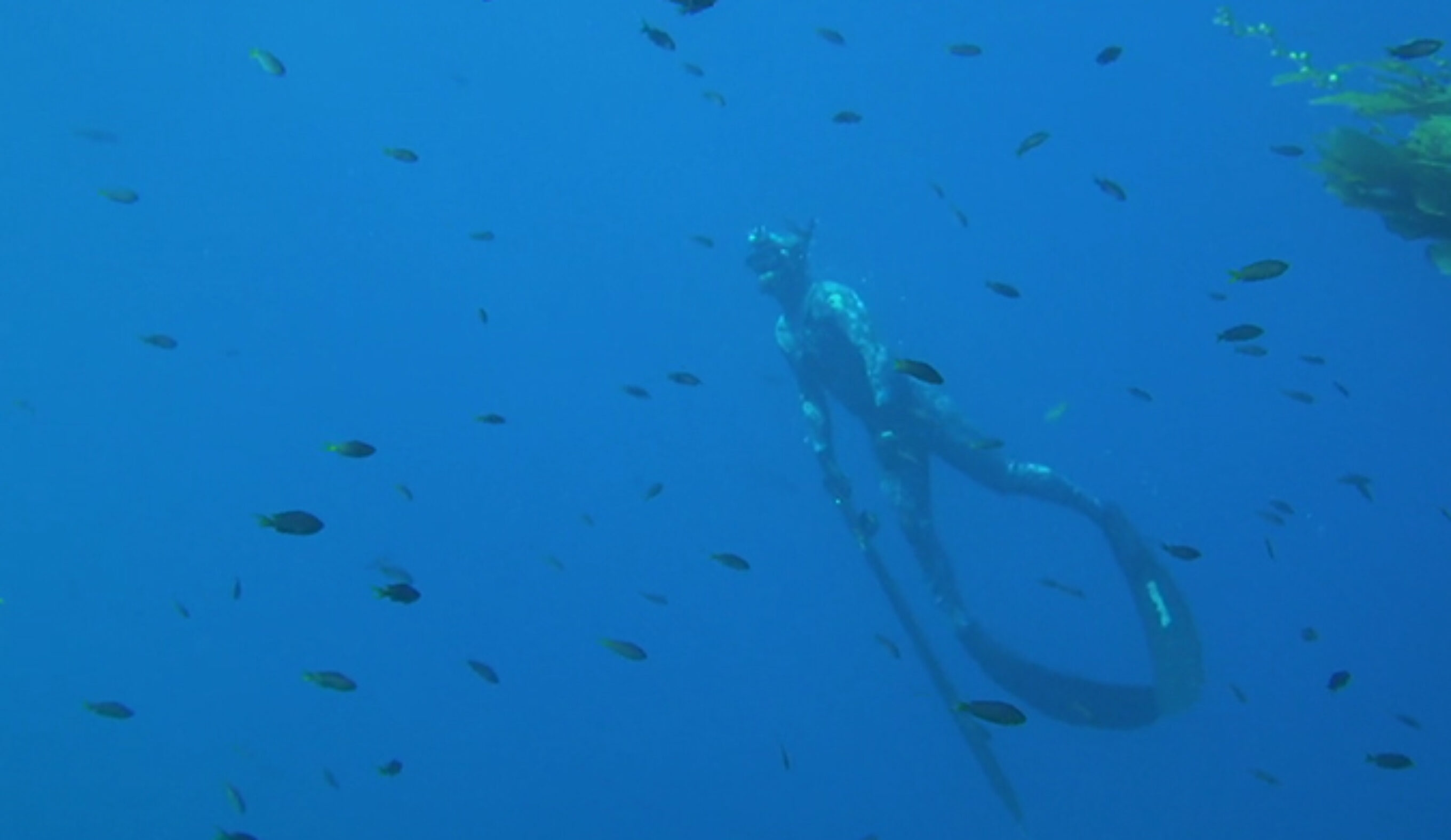 Everything underneath the surface is just as awesome as what we find above it. 