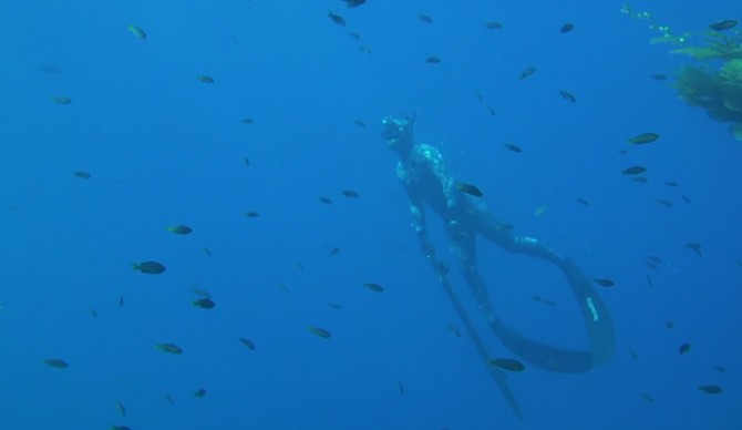 Everything underneath the surface is just as awesome as what we find above it. 