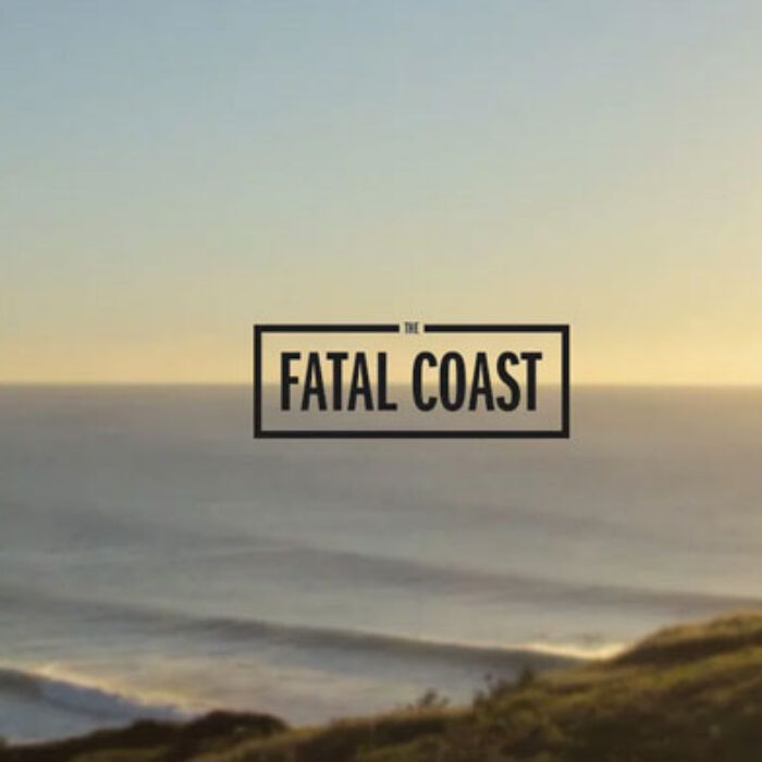 The recent spate of shark attacks on the North Coast of New South Wales has everybody talking.
