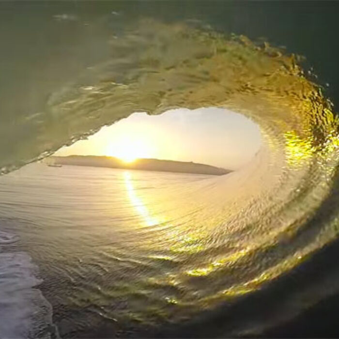 Anthony Walsh Nias