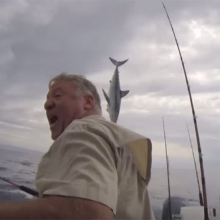 Mako Shark Huntington Beach