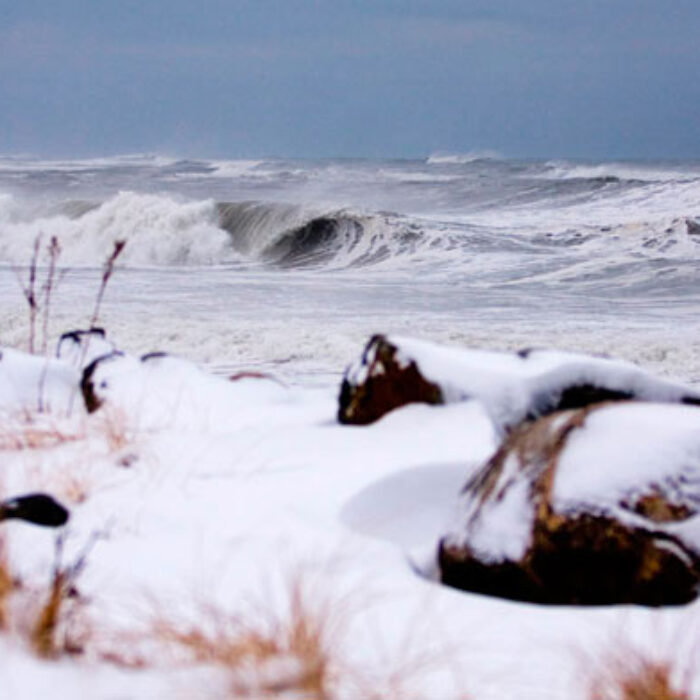 New England Surf