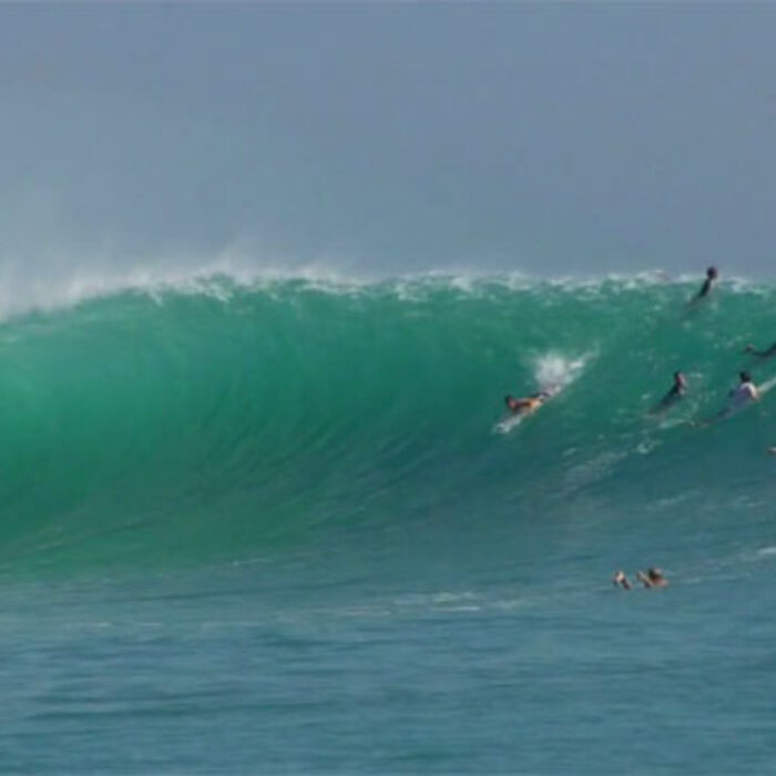 Century Swell