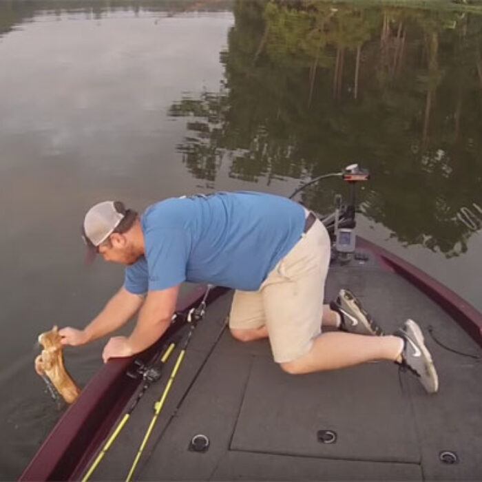 Catfishing