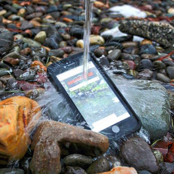 LIfeProof Case