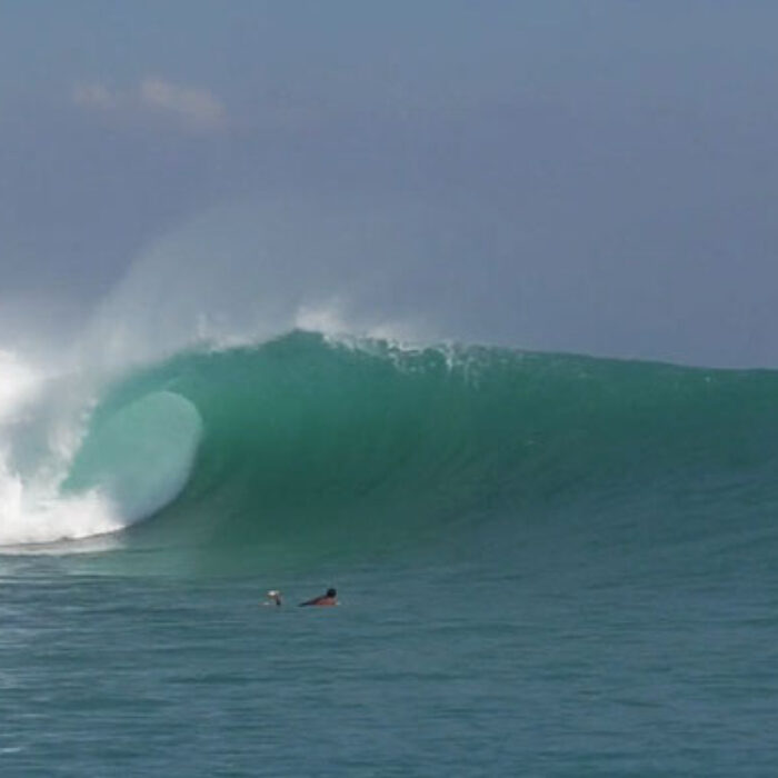 It was the wave you drew in your childhood notebook; the one you thought about in math class while you were supposed to be thinking about something much more boring.