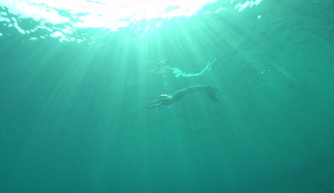 Let's be real, we can't wait to come across one of these. 