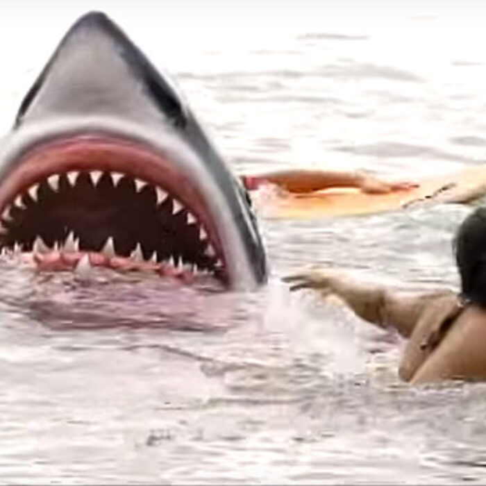 Shark attacks are no joke. They're no joke, at least, until they're a joke. Then they're hilarious.
