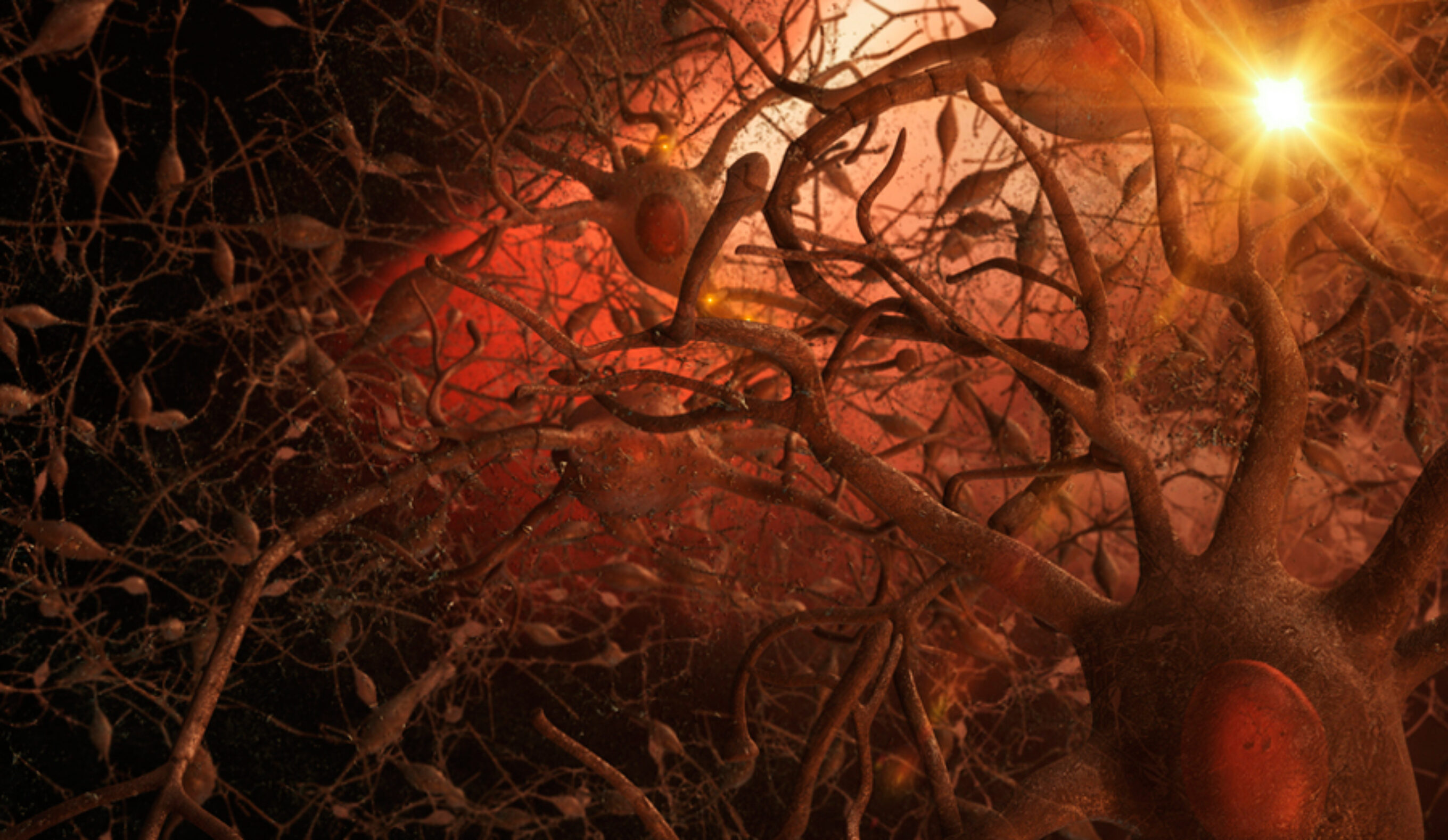 Image: 3Dme Creative Studio