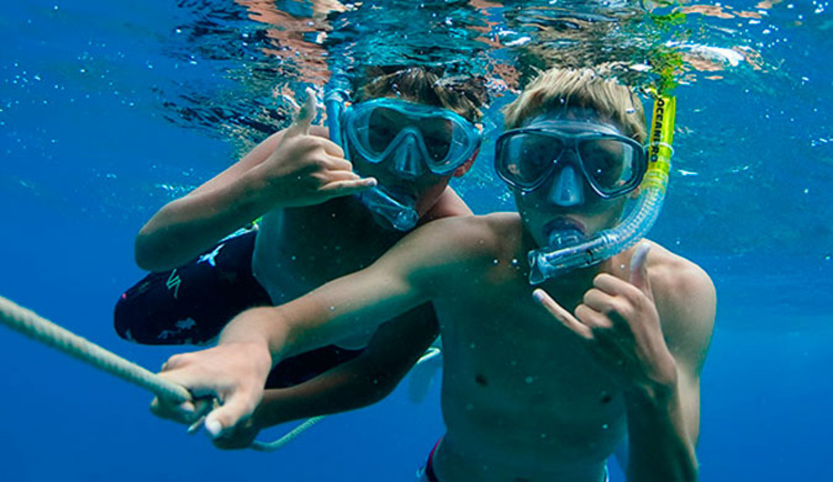 There's so much to see down there.
