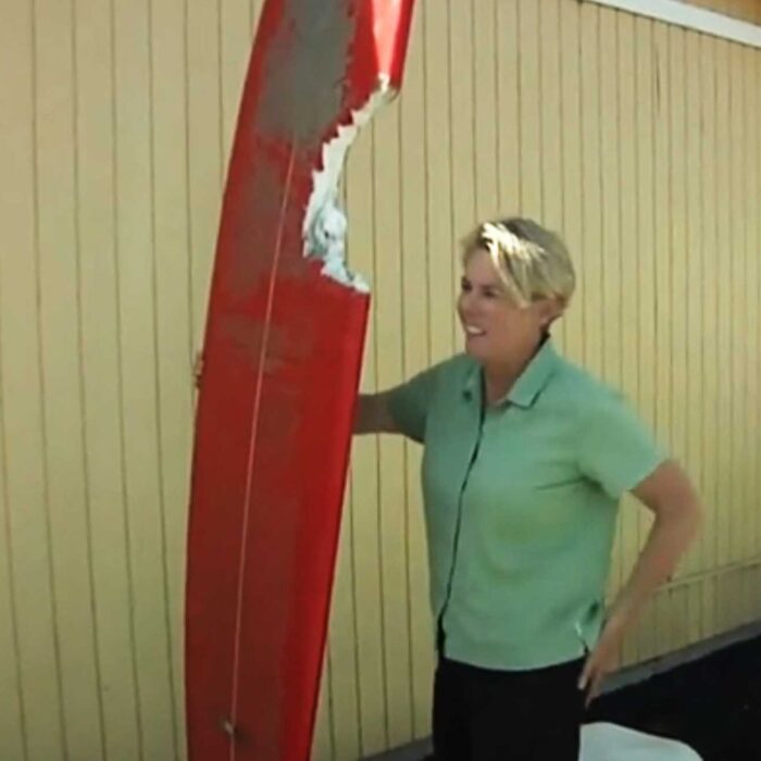 The board wasn't as lucky. Photo: CNN