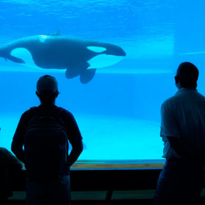 Three people. That's what SeaWorld's annual attendance is shaping up to be. Photo: Shutterstock