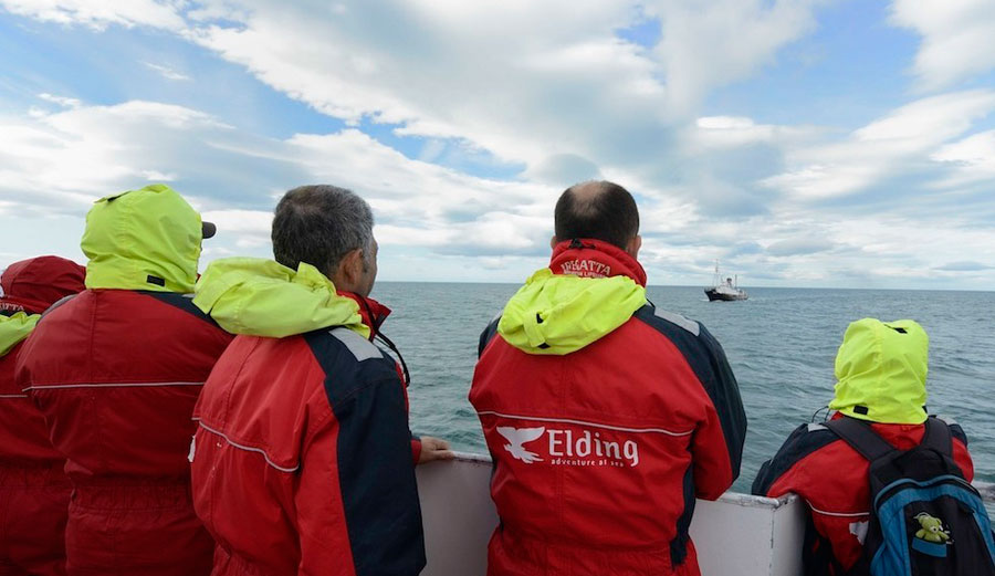 Whale watching tourists watch as a whaling vessel tows two fin whales back to port. Photo: Timothy Baker