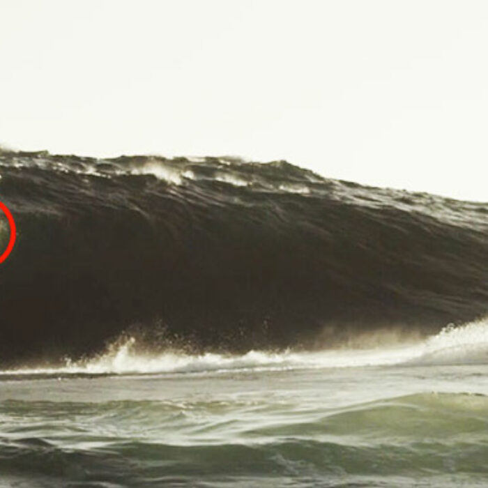 Australia has a crazy amount of crazy people on surfboards.