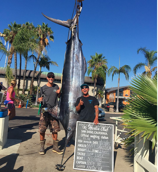 The fish came in a 662 pounds; that's the largest caught off the California coast since 1931. Photo: @finbomb