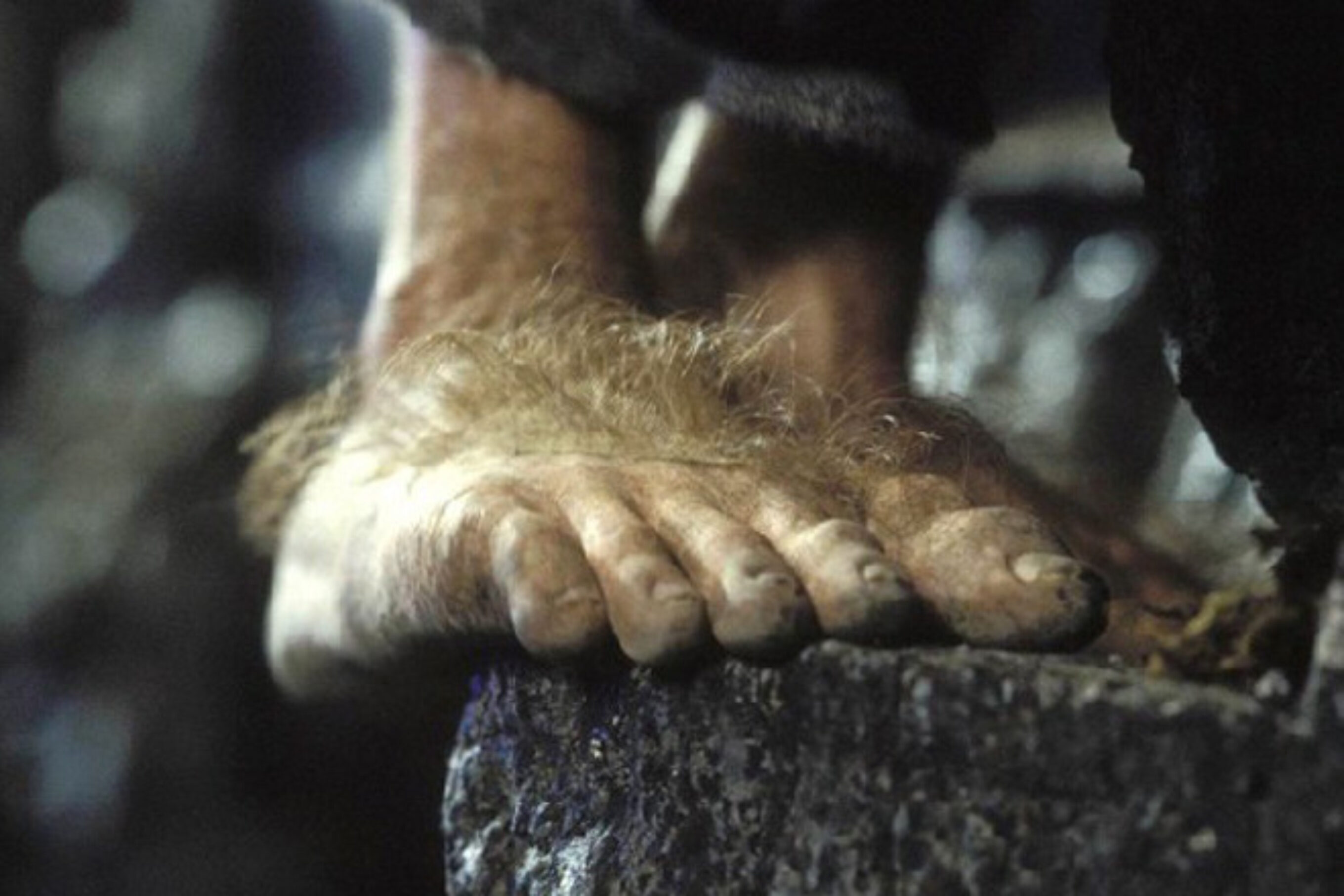 The one side effect to this trick? Hobbit feet. Photo: New Line Cinema