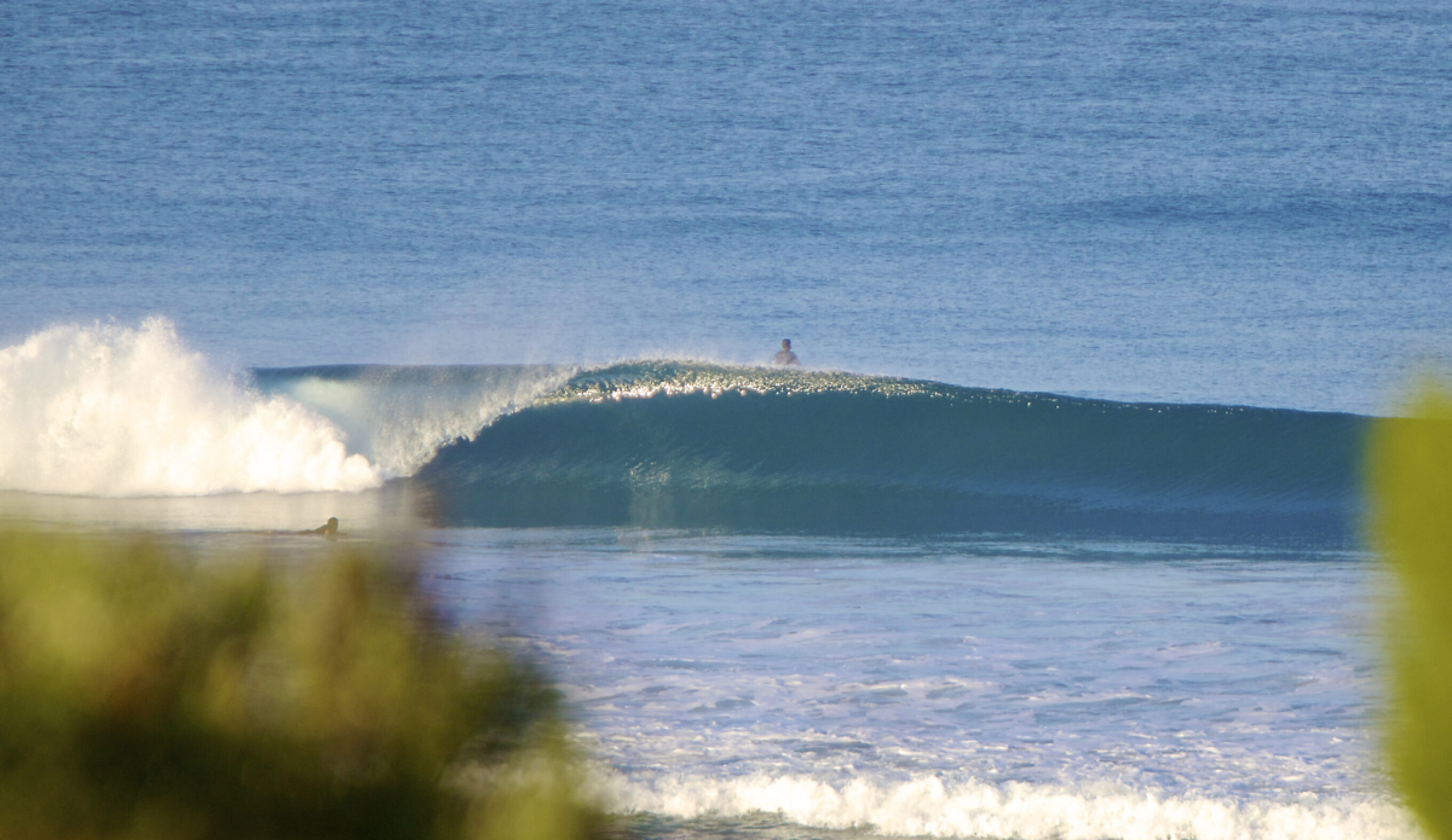 California Dreaming