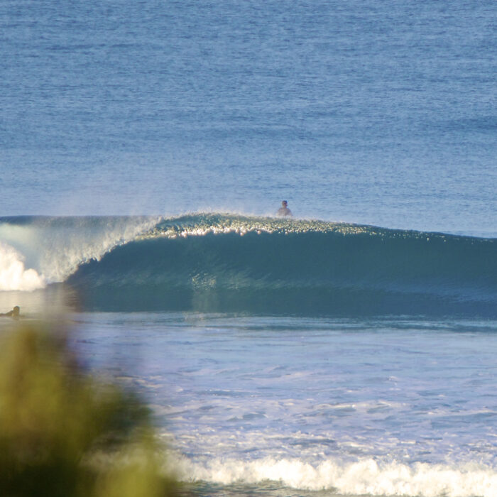 California Dreaming