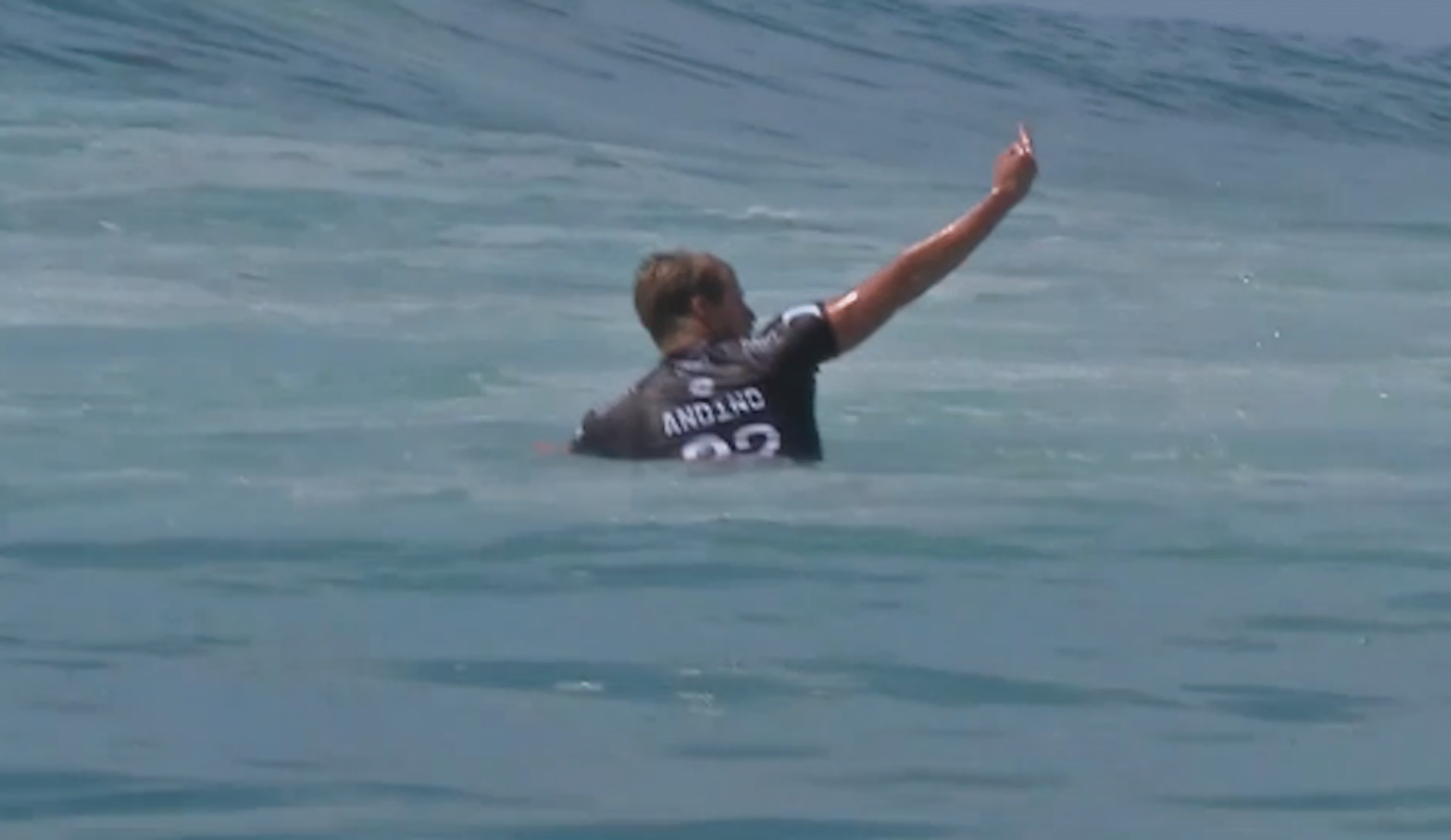 Another angle of the bird. Photo: WSL