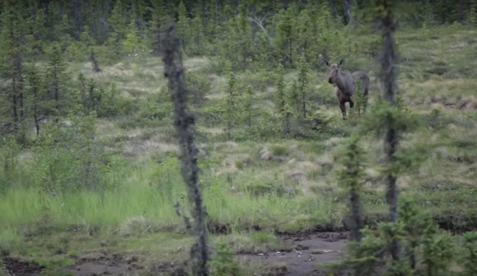 Photo: Specialized Bicycles