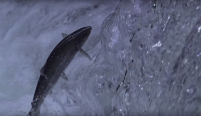 Photo: Specialized Bicycles