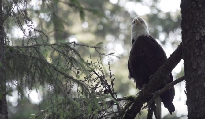 Photo: Specialized Bicycles