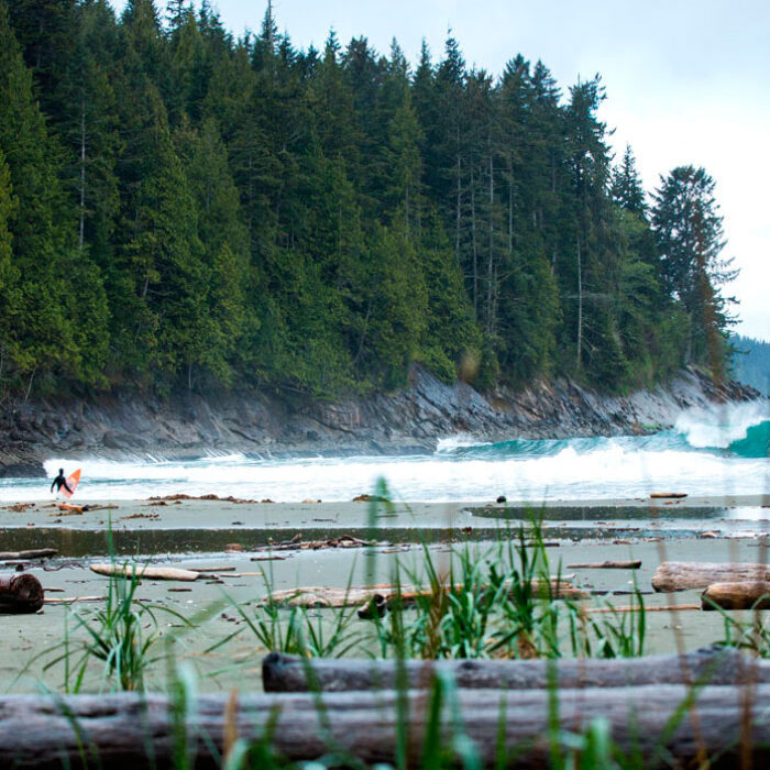 Paradise can be cold